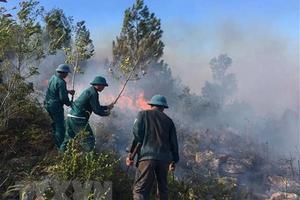 Cảnh báo nguy cơ cháy rừng cấp 'cực kỳ nguy hiểm' ở nhiều địa phương