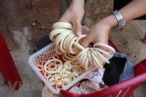 Loạn thị trường ngà trắng ở 'thủ phủ voi' nổi tiếng nhất Việt Nam