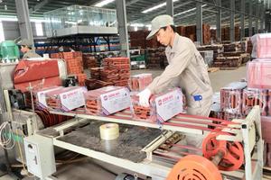 Hải Dương thanh tra Công ty Cổ phần Gốm Mỹ