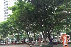 Chủ đầu tư còn nợ người dân một lời xin lỗi?