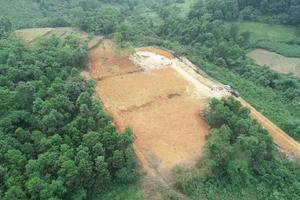 Ngang nhiên chặt phá hàng nghìn mét vuông đất rừng?