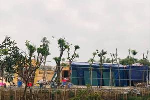 Yêu cầu Chủ tịch UBND huyện Hoài Đức làm rõ vụ việc