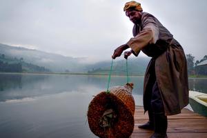 Nhiều nước châu Phi hối hận vì rước về 'đại họa' tôm hùm đất