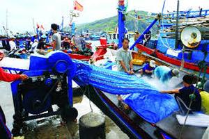 Đầu tư dự án tại 4 tỉnh miền Trung sử dụng tiền bồi thường của Formosa