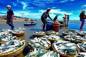 Vi phạm hành chính trong lĩnh vực thủy sản bị phạt tới 1 tỷ đồng