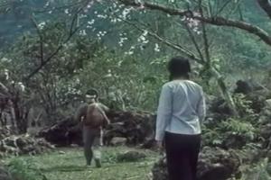 Những bộ phim làm 'sống lại' chiến dịch Điện Biên Phủ cần xem