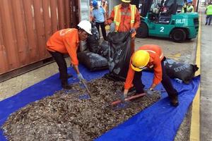 Phát hiện vụ vận chuyển trái phép hơn 5 tấn vảy sừng tê tê