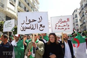 An ninh Algeria bắt giữ em trai của cựu Tổng thống Bouteflika