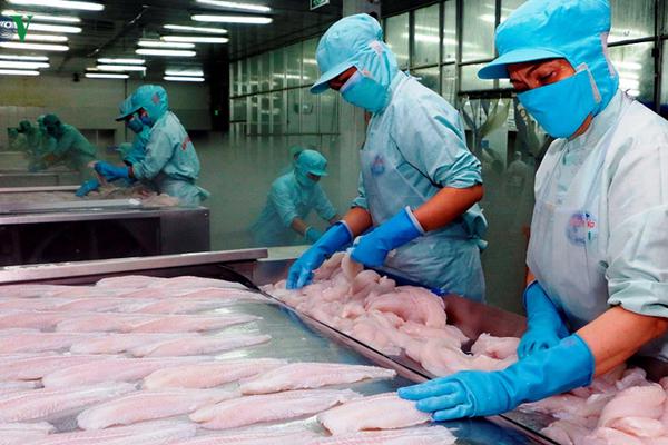 Cá tra Việt Nam bị áp thuế chống bán phá giá tại Mỹ