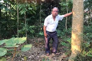 Vì sao chậm cấp sổ đỏ cho dân?