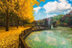 Những món quà ý nghĩa nhất định phải mua khi đi Nhật-Hàn-Đài 