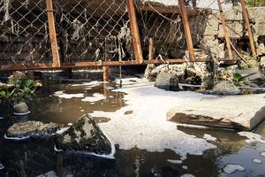 Đà Nẵng: Lòng hồ Công viên 29/3 bị xả nước thải đen ngòm