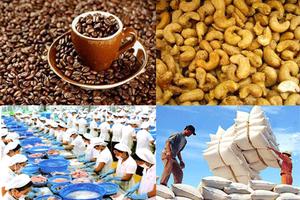 Nhiều lô hàng nông, hải sản nhiễm chất cấm bị EU từ chối nhập