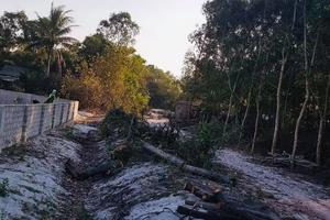 Tự ý chặt cây, lấy đất của dân làm đường nông thôn mới?