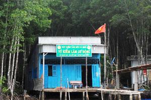 Chuyển cơ quan điều tra sai phạm tại Vườn Quốc gia Mũi Cà Mau