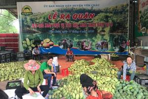 Thêm nhiều dấu hiệu vi phạm?