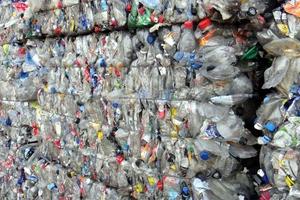 "Tiếp tay" cho doanh nghiệp nhập khẩu nghìn tấn phế liệu trái luật