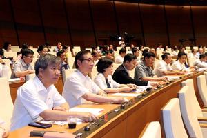 Không thực hiện thí điểm một số nội dung về đất đai để chờ sửa luật