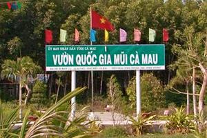 Sai phạm tiền tỷ tại Vườn quốc gia Mũi Cà Mau, ai chịu trách nhiệm?