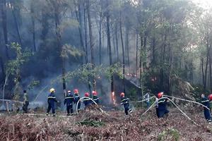 Hà Tĩnh: Cơ bản khống chế được vụ cháy rừng tại huyện Nghi Xuân