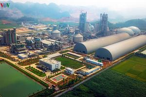 Ngành xi măng Việt Nam cần những “ông lớn” thực thụ
