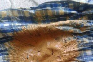 Nước sinh hoạt của SV bẩn như nước ao, ĐH Kinh tế quốc dân xin lỗi