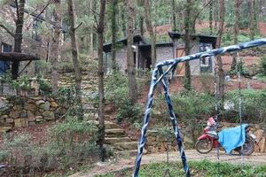 Vụ "xẻ thịt" đất rừng Sóc Sơn: Điều nằm ngoài kết luận của thanh tra