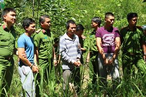 Bắt kẻ chủ mưu vụ hạ độc chết hơn 10ha rừng thông tại Lâm Đồng