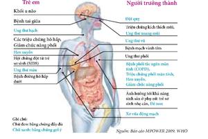 Hút thuốc lá ảnh hưởng nghiêm trọng đến sức khỏe sinh sản