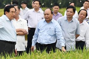 Quyết sách mới cho sự bền vững của Đồng bằng sông Cửu Long