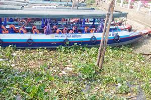 Cần Thơ: Ô nhiễm môi trường tác động xấu đến phát triển du lịch