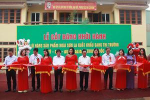 Xoài Yên Châu (Sơn La): Đã có mặt ở Mỹ và Anh