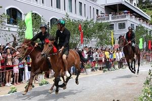 Sa Pa (Lào Cai): Khai mạc Giải đua "Vó ngựa trên mây"