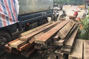 Bắc Kạn: 41 cây gỗ nhóm IIA hơn 100m3 bị chặt