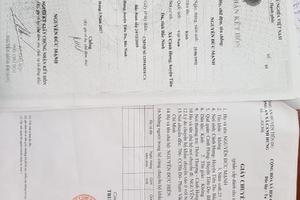 Ai phải chịu trách nhiệm?