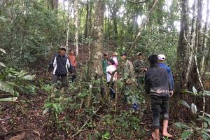 Kon Tum: Hiệu quả của Chính sách chi trả dịch vụ môi trường rừng.