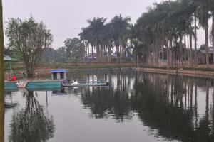 Thái Nguyên: Nhiều sai phạm tại dự án nông trại bò sữa