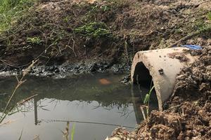  Công ty TNHH Đông Đông Hải bị phạt gần 200 triệu đồng