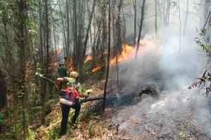 Cháy lớn tại núi Nầm, hàng trăm người tích cực dập lửa