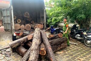 Tạm đình chỉ hai cán bộ gác rừng