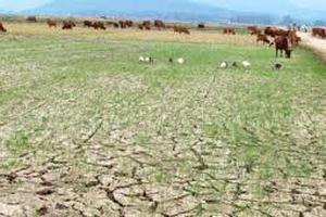 Thủ tướng chỉ đạo tập trung ứng phó hạn hán tại Trung Bộ