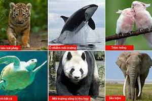 Bổ sung một số loài nguy cấp, quý, hiếm được ưu tiên bảo vệ