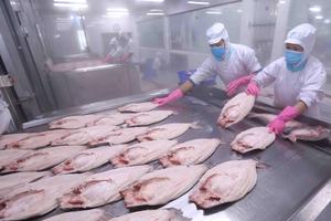 WB: EVFTA mở ra cơ hội "kép" cho các doanh nghiệp Việt Nam