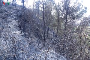 Vụ cháy rừng kinh hoàng tại Hà Tĩnh gây thiệt hại đến 65 ha rừng