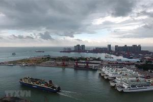 Bão mạnh đổ bộ vào Trung Quốc, gần 200 người thương vong