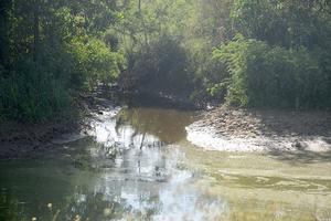 Sử dụng nước sông ô nhiễm làm nước sạch bán cho dân