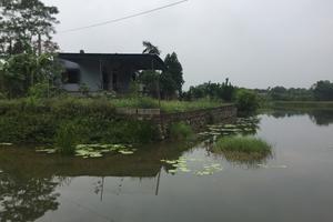 Bài 2: Một kết luận chưa công tâm và né tránh