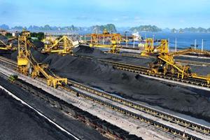 Trồng cây, phủ xanh 200ha bãi thải trên địa bàn tỉnh Quảng Ninh