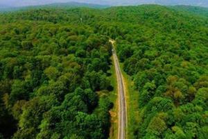 Rừng cổ Hyrcanian của Iran trở thành Di sản thế giới