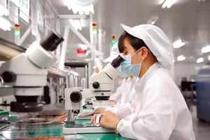 Tổng vốn FDI thực hiện trong bảy tháng đạt 10,6 tỷ USD